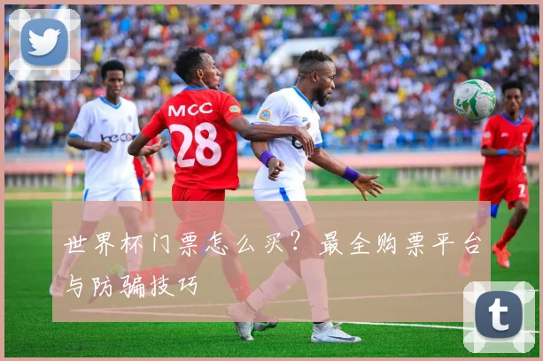 世界杯门票怎么买？最全购票平台与防骗技巧