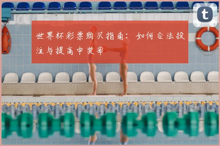 世界杯彩票购买指南：如何合法投注与提高中奖率