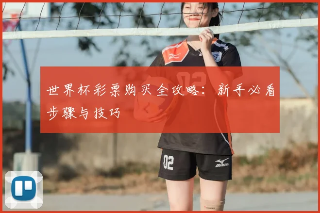 世界杯彩票购买全攻略：新手必看步骤与技巧