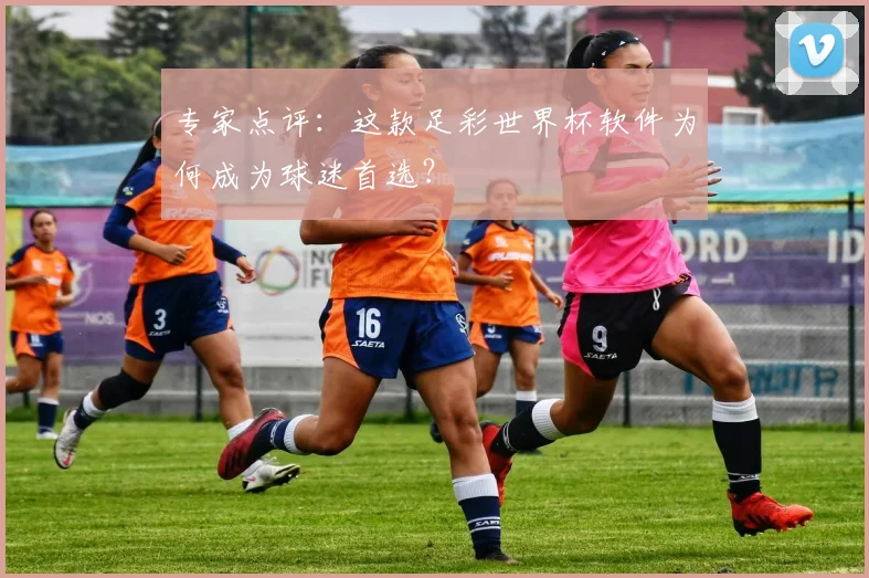 专家点评：这款足彩世界杯软件为何成为球迷首选？