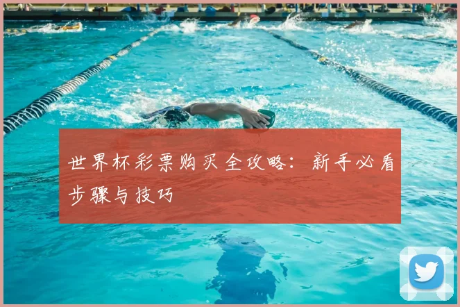 世界杯彩票购买全攻略：新手必看步骤与技巧