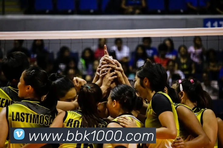 App Interface Preview